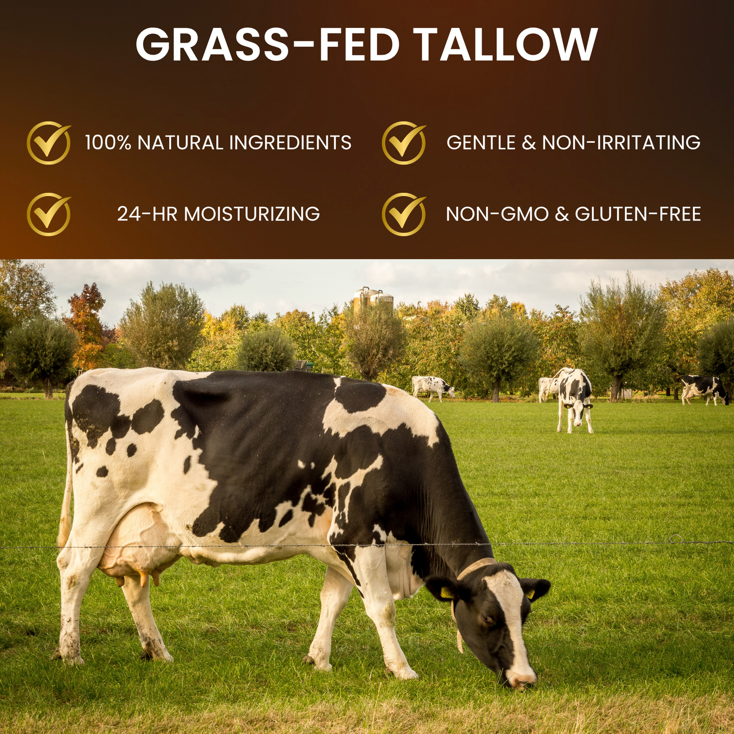 Mooyam™ Grass-Fed Tallow Cream