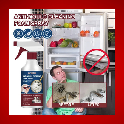 JaysuClean™ – Anti-Mould Foam Spray